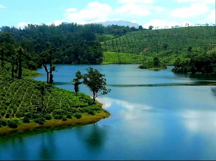 வால்பாறை: சோலையாறு அணை முழு கொள்ளளவை தொட்டது…